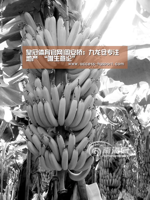 皇冠体育官网|周安桥:九龙仓专注地产 “唯生意论”(图1) 皇冠体育app