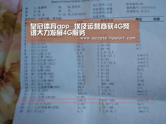 皇冠体育app